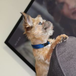 Meet your Posher, Keysha